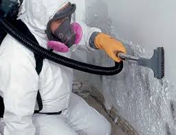 Best Mold Documentation for Insurance Claims in Lake Wylie, SC